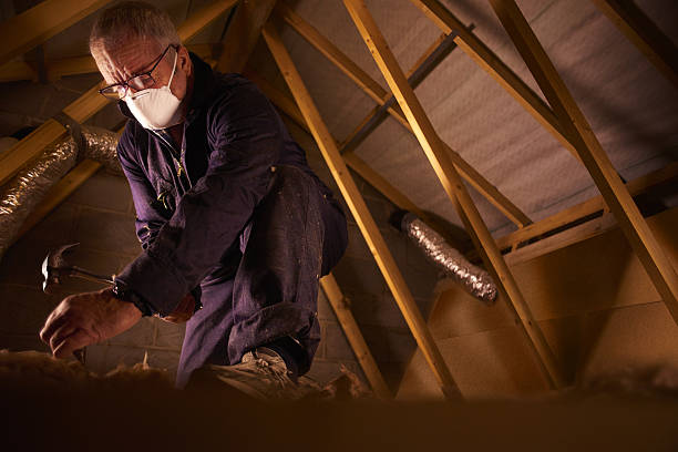 Best Energy Efficiency Insulation in Whitefish, MT